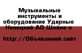 Музыкальные инструменты и оборудование Ударные. Ненецкий АО,Шойна п.